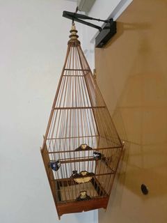 (Category: ) located in . Submitted by buynsell8666 (Listing ID 1299393455, Image 1). Description: .