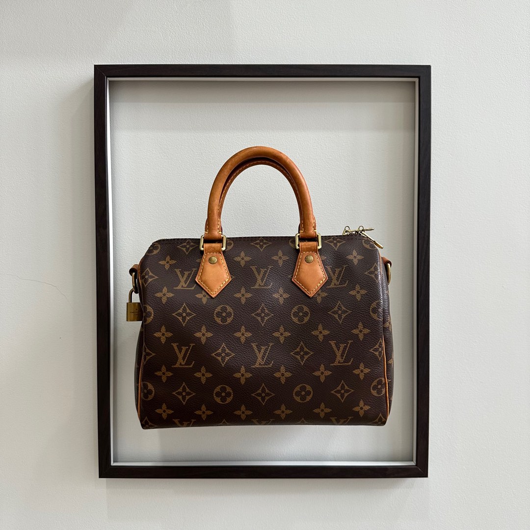 Louis Vuitton Speedy 25 Monogram