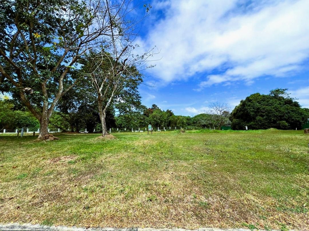 Montecito Lot for Sale 880 sqm (backing Bird Sanctuary), Property