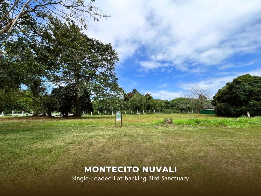 Montecito Lot for Sale 880 sqm (backing Bird Sanctuary), Property