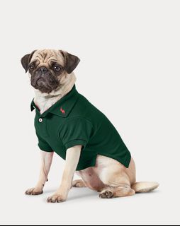 RALPH LAUREN Cotton Mesh Dog Polo Shirt in XL