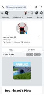 Selling premium account with 606 Robux with 800+ pending with Roblox group and more++