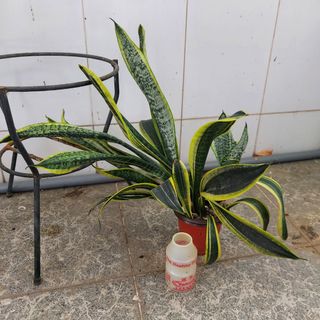 (Category: ) located in . Submitted by yjinghan (Listing ID 1220171098, Image 1). Description: .