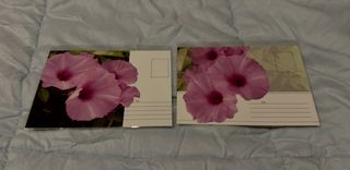 (Category: ) located in . Submitted by rojaksiao (Listing ID 1299384925, Image 1). Description: .