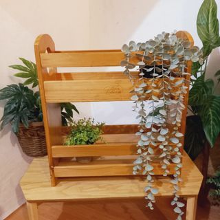 2 tier wooden small kithcen organizer pantry rack