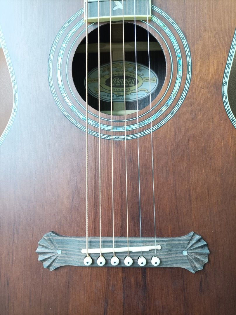 Washburn parlor r320swrk best sale