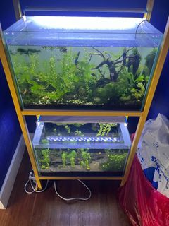 (Category: ) located in . Submitted by trigalides (Listing ID 1299691183, Image 1). Description: .
