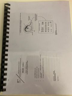 （分類：）位於 。 由 soile 提交（商品編號 1299633777，圖片 1）。簡介： 。