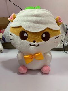 （分類：）位於 。 由 oiyilam123 提交（商品編號 1299655091，圖片 1）。簡介： 。