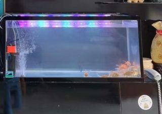 (Category: ) located in . Submitted by fleamkt123 (Listing ID 1299689431, Image 1). Description: .