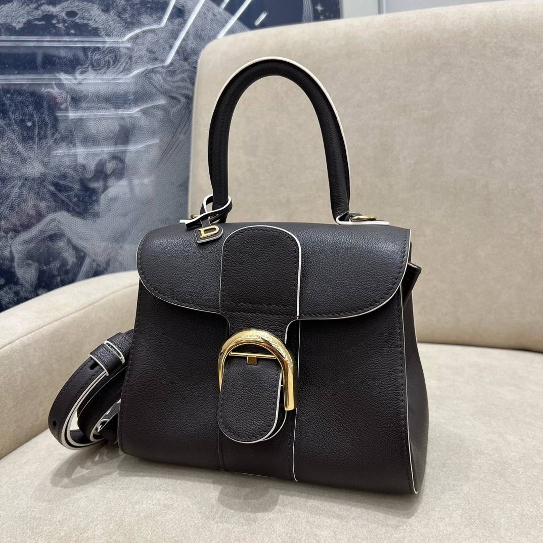 Delvaux brillant mini store