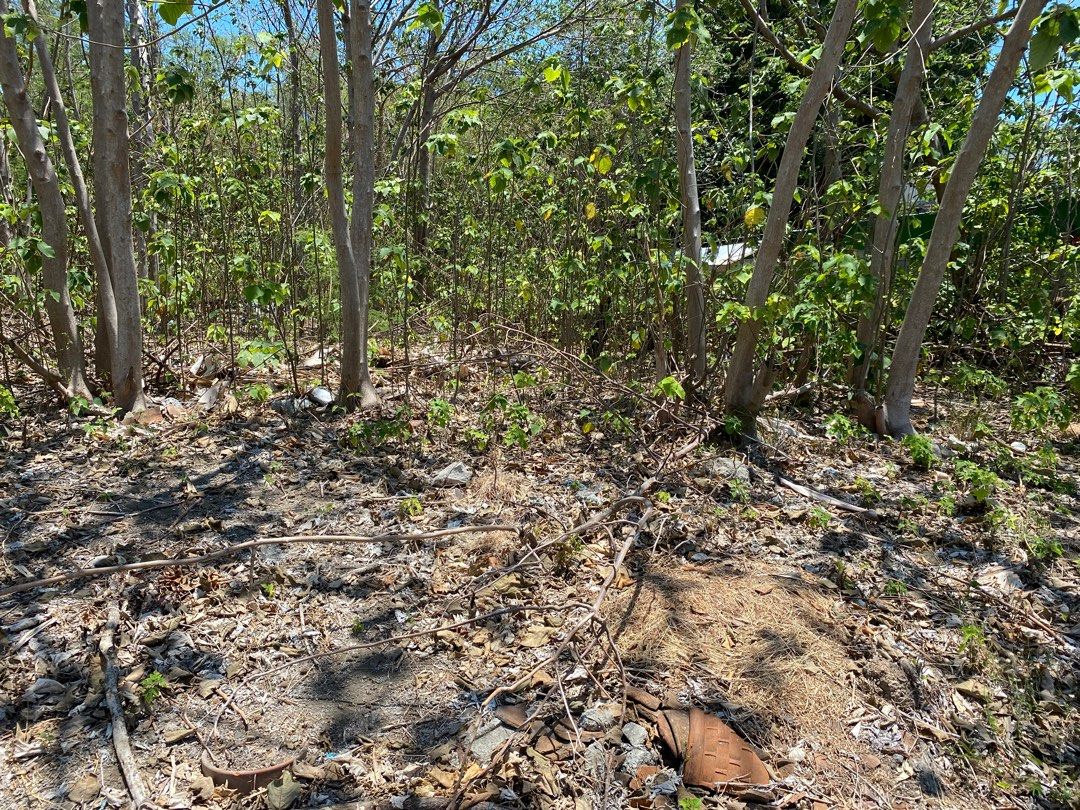 Susana Heights Subdivision Lot (Category: Lot) located in Manila. Submitted by lauro.catibayan (Listing ID 1299659646, Image 2). Description: 500 Sqm lot square lot. Clean title, complete documents. Quite neighborhood..