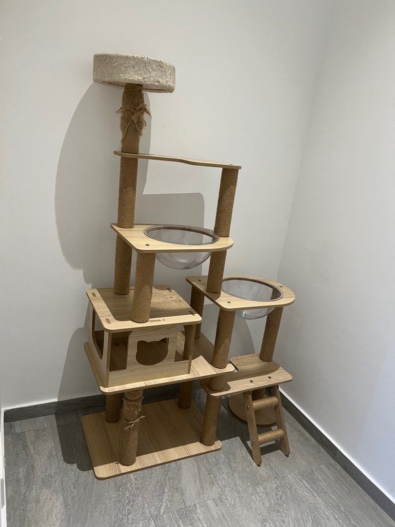 Used Cat Condo Playhouse Villa Scatcher Toy Pet Supplies Homes Other Pet Accessories on Carousell