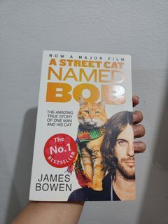 A street cat Name BOB