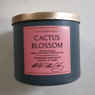 BATH & BODYWORKS Cactus Blossom 3-wick candle BBW
