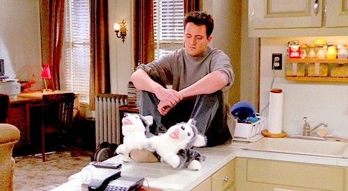 Husky Slippers Plush Dog Animal Slippers As seen on FRIENDS