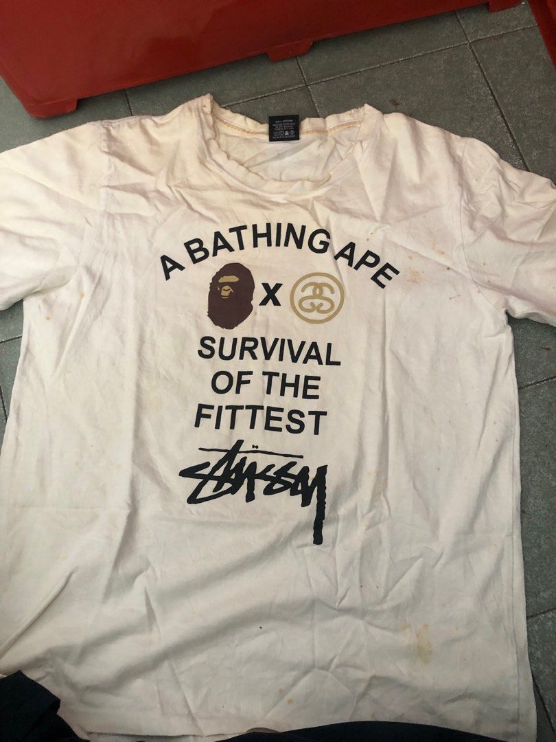 Stussy x bape