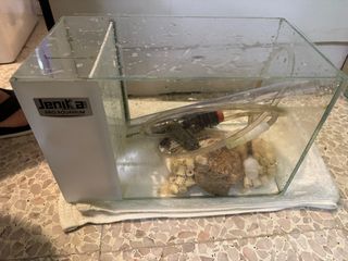 （分類：）位於 。 由 wincky1122 提交（商品編號 1300046824，圖片 1）。簡介： 。
