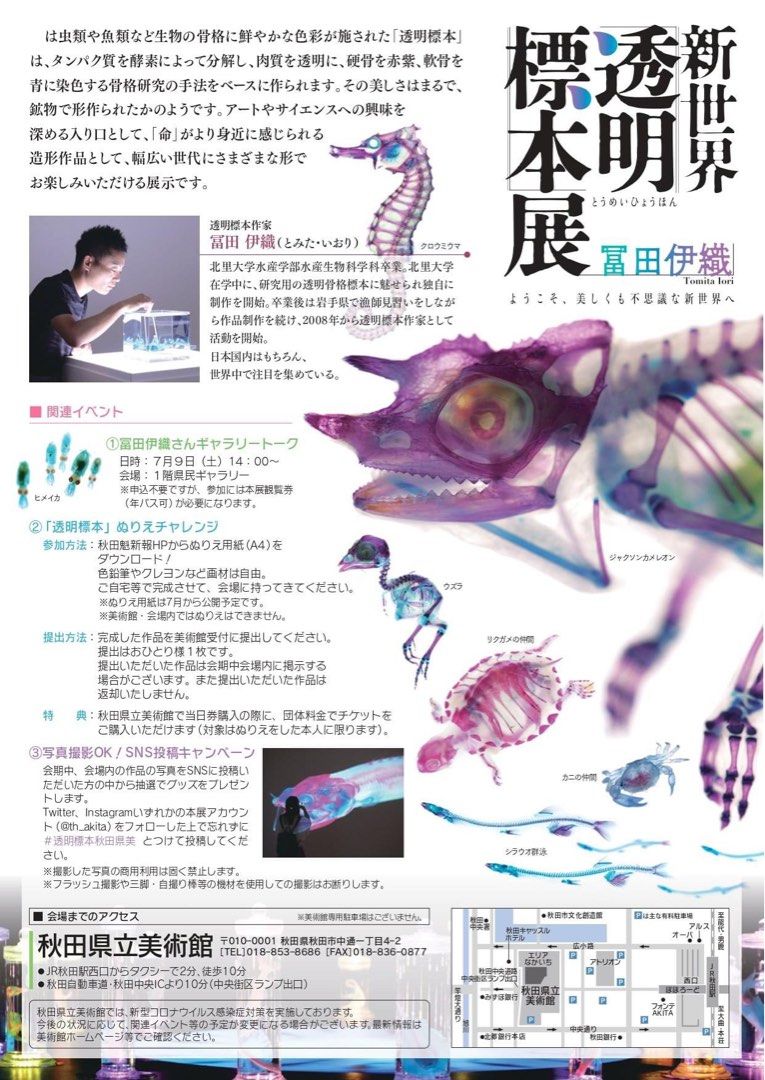 全新日本帶回🇯🇵富田伊織新世界透明標本資料夾 魚類綜合版本 照片瀏覽 3