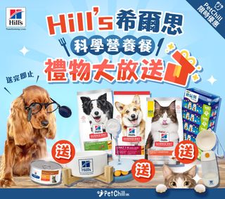 （分類：）位於 。 由 petchillhk 提交（商品編號 1300003700，圖片 1）。簡介： 。