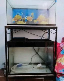 Aquarium with stand