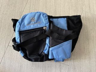 Arnaldo Bassini belt bag