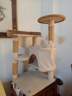 Cat Tower Condo