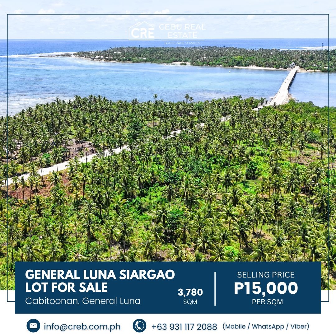Cabitoonan General Luna Siargao Sunset Bridge Lot for Sale, Property