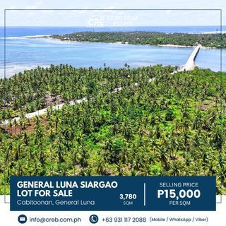 FOR SALE | Exclusive General Luna Siargao Property – 3,780 SQM