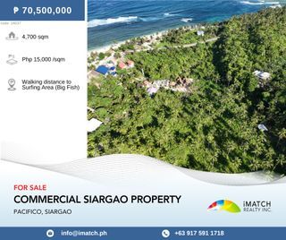 For Sale: Commercial Property in Pacifico, Siargao, P70.5M