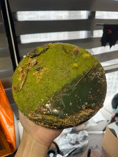 （分類：）位於 。 由 wwwayneccc 提交（商品編號 1299955807，圖片 1）。簡介： 。