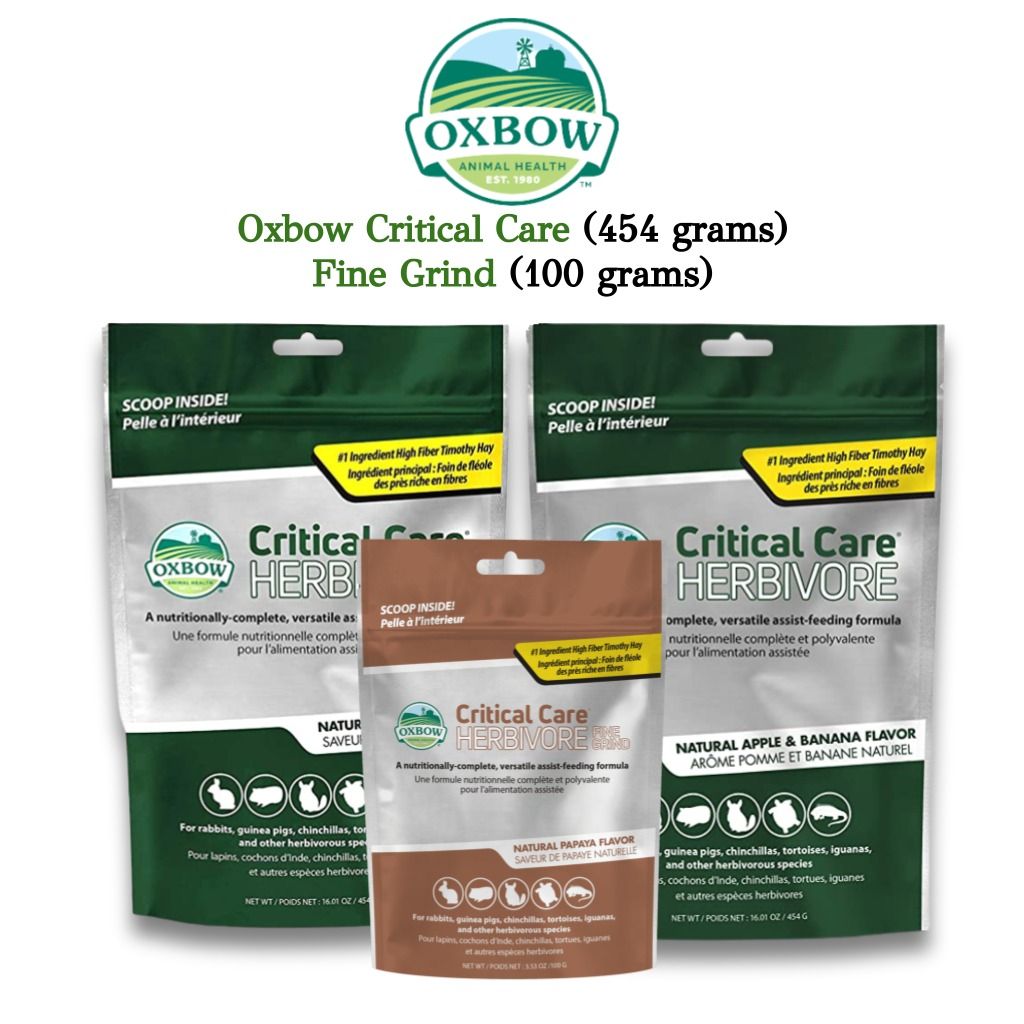 Instock Oxbow Critical Care 454g Anise Apple Banana Fine Grind Health Care for Sick Guinea Pigs Rabbits Pet Supplies Pet Food on Carousell