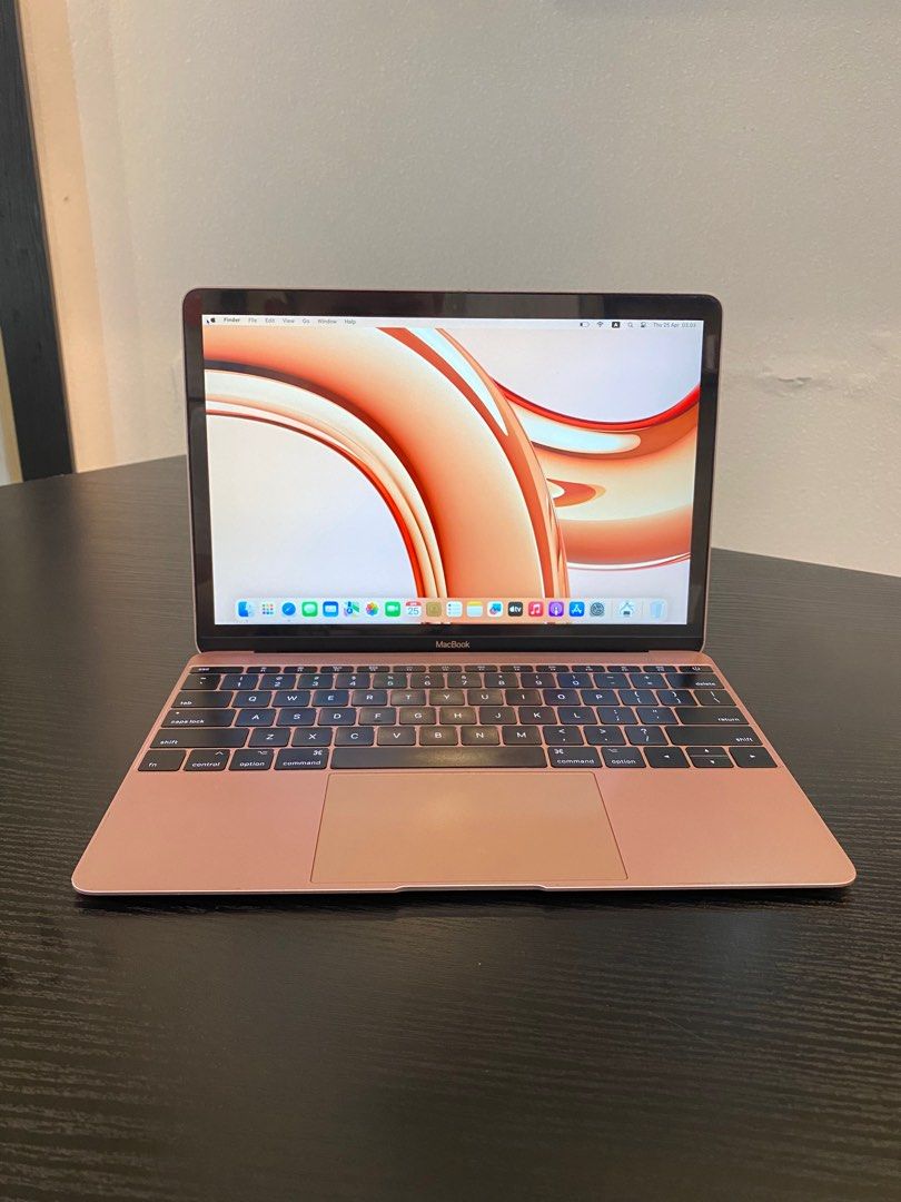 MacBook Retina 12インチ 2017 Model A1534 MacBook (Retina, 12-inch, 2017) 箱あり iFixit、MacBook (Retina, 12