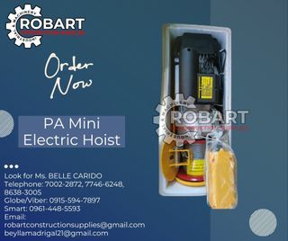 PA Mini Electric Hoist