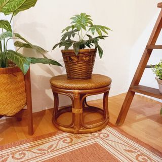 Vintage small round rattan stool plant stand