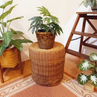 Vintage wicker rattan round stool plant stand