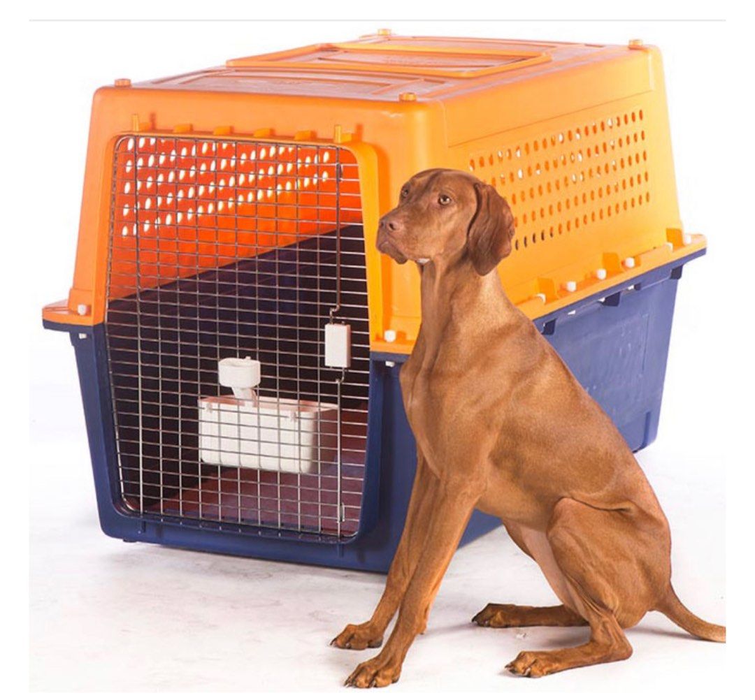 Faa approved dog crates top