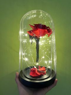 Dried Rose Lamp