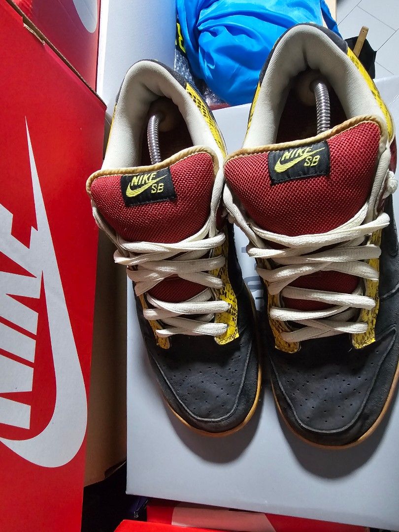 Coral snake shoes shop