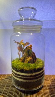 (Category: ) located in . Submitted by ant812 (Listing ID 1300231966, Image 1). Description: .