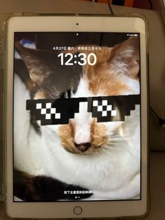 （分類：）位於 。 由 maxmax_33 提交（商品編號 1300291455，圖片 1）。簡介： 。
