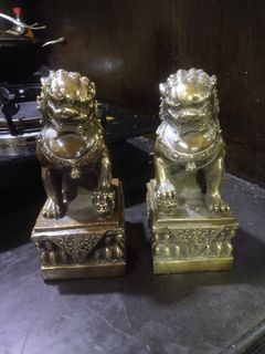Brass Fu dog pair statue display
