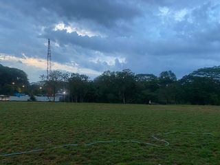 (Category: ) located in . Submitted by TIGER_LANDSCAPE (Listing ID 1300375855, Image 1). Description: .
