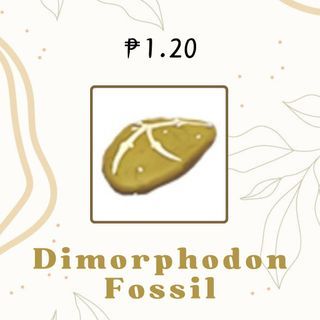 Dimorphodon Fossil