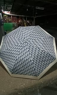 Dior umbrella