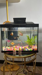 (Category: ) located in . Submitted by pelangi30 (Listing ID 1300264072, Image 1). Description: .