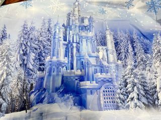Frozen Party Decor and Backdrop - Take all