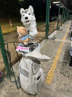 Golf set for Ladies (Orlimar brand)