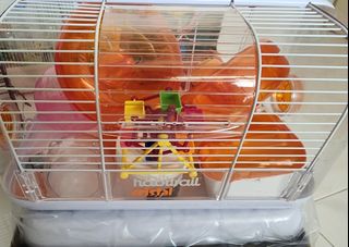 (Category: ) located in . Submitted by happy7485 (Listing ID 1300408021, Image 1). Description: .