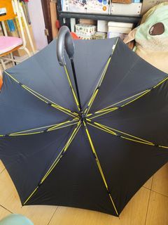 Long umbrella